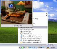Memorizer eXP 5.5 screenshot. Click to enlarge!