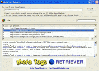 Meta Tags Retriever 1.1 screenshot. Click to enlarge!