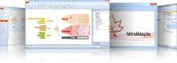 MindMaple Lite 1.65.1.184 screenshot. Click to enlarge!