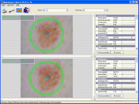 MoleExpert Micro 3.3.32.158 screenshot. Click to enlarge!