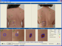 MoleExpert macro 3.0.28.162 screenshot. Click to enlarge!