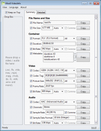 Moo0 VideoInfo 1.05 screenshot. Click to enlarge!