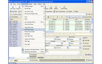 Mp3 Tag Assistant Professional 2.9.4.335 screenshot. Click to enlarge!