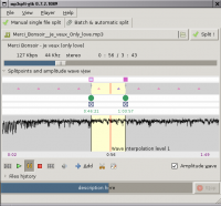 Mp3Splt Portable 2.6.1 screenshot. Click to enlarge!