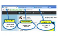 Multi-Account Login 0.1452 screenshot. Click to enlarge!