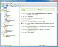 Multi Password Recovery Portable 1.2.9 screenshot. Click to enlarge!