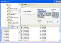 MultiRenamer 2.2 screenshot. Click to enlarge!