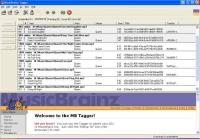 MusicBrainz Tagger 0.10.5 screenshot. Click to enlarge!