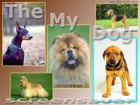 My Dog Screensaver 1.2 screenshot. Click to enlarge!