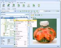MyBusinessCatalog_Start License 6.3.1 screenshot. Click to enlarge!