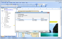 MyInfo Professional 6.31.2257 screenshot. Click to enlarge!