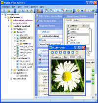 MySQL Code Factory 13.9.0.1 screenshot. Click to enlarge!