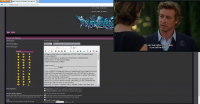 .NET Streamer 3.0.2.0 screenshot. Click to enlarge!