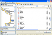 NameWiz 4.111 screenshot. Click to enlarge!