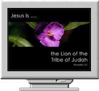 Names of Christ Screen Saver 3.0 screenshot. Click to enlarge!
