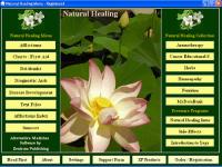 NaturalHealing 6.5 screenshot. Click to enlarge!