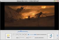 Naturpic Video Cutter 6.0 screenshot. Click to enlarge!