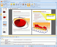 Nitro Pro 7 7 screenshot. Click to enlarge!