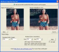 Nonlinear Image Resizing Tool 1.0 screenshot. Click to enlarge!