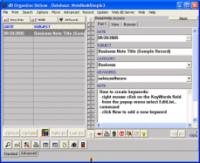 Notes Organizer Deluxe 4.21 screenshot. Click to enlarge!
