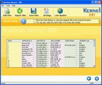 Nucleus Kernel DBF Repair Software 5.01 screenshot. Click to enlarge!