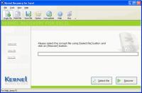 Nucleus Kernel Excel File Recovery 10.10.01 screenshot. Click to enlarge!