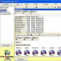 OLAP Reporting Tool 3.1 screenshot. Click to enlarge!
