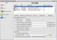 Okdo PDF Splitter 2.3 screenshot. Click to enlarge!