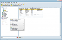 OraBone 7.9.2 screenshot. Click to enlarge!