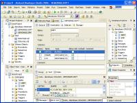 OraDeveloper Tools for Delphi 2.55 screenshot. Click to enlarge!