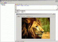 OraLobEditor 4.3.1.170311 screenshot. Click to enlarge!