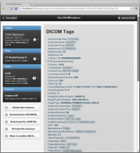 Orthanc 0.6.0 screenshot. Click to enlarge!