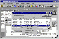 OstroSoft Internet Tools 6.2 screenshot. Click to enlarge!
