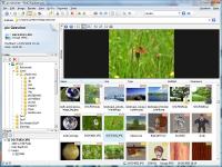 P3dO Explorer 2.4.6 screenshot. Click to enlarge!