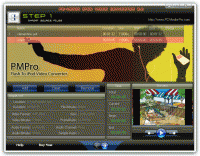 PMPro Flash to iPod Converter 3.0 screenshot. Click to enlarge!