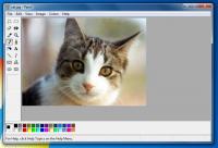 Paint XP 1.5 screenshot. Click to enlarge!