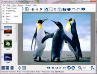 PaperScan Home Edition 1.8.4 screenshot. Click to enlarge!