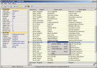 Paradox Data Editor 3.3.1.0 screenshot. Click to enlarge!