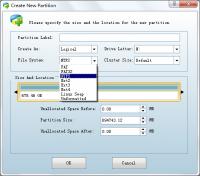 Partition Wizard Professional Edition 8.1.1 screenshot. Click to enlarge!