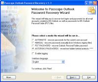 Passcape Outlook Password Recovery 3.0.0.291 screenshot. Click to enlarge!