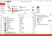 Password Memory 6.1.550 screenshot. Click to enlarge!