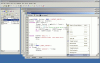 Perl Express 2.5 screenshot. Click to enlarge!