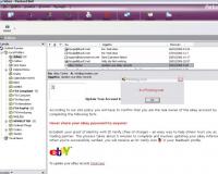 Phishing Detector 1.0 screenshot. Click to enlarge!