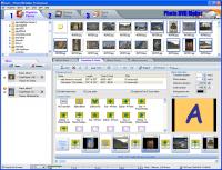 Photo DVD Maker Professional 8.52 screenshot. Click to enlarge!