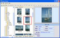 Photo Printer 1.01 screenshot. Click to enlarge!