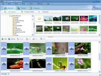Photo Slideshow Maker Professional 5.57 screenshot. Click to enlarge!