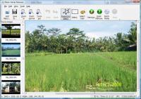 Photo Stamp Remover 8.5 screenshot. Click to enlarge!
