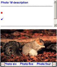 PhotoShare 1.1 screenshot. Click to enlarge!
