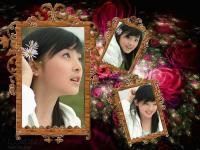 PhotoShine 5.5 screenshot. Click to enlarge!