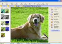 Photolightning photo software 5.51 screenshot. Click to enlarge!